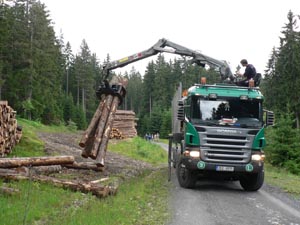 odvoz dřeva - cesta na Poledník