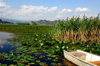 Černá hora - Skadarské jezero