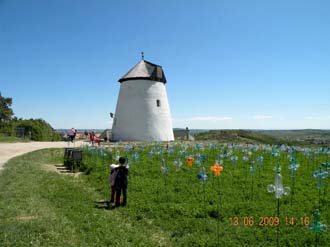 Retz - Větrný mlýn (Windmühle)