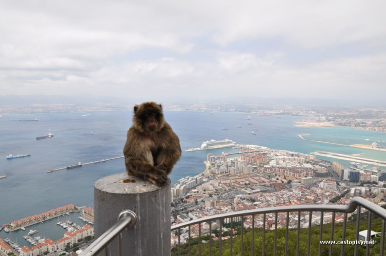 Gibraltar - malý kus Anglie na jihu Španělska