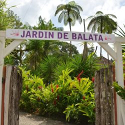Martinik je ostrovem květin - důkazem toho je zahrada Balata