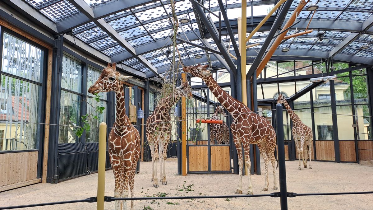 ZOO Schönbrunn Vídeň