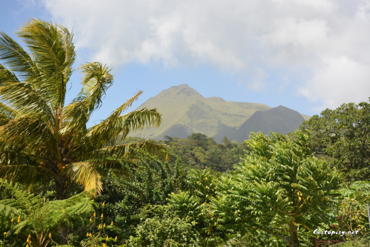 Martinik – základní informace a rady před cestou