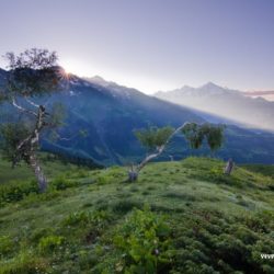 Svanetie – trek pod horou Ushba v bývalé kavkazské divočině