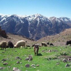 Maroko - Vysoký Atlas - údolí Agoundis