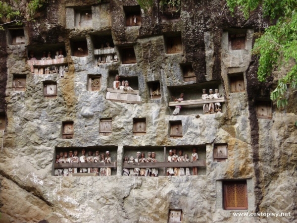 Pohřební sošky Tau Tau Sulawesi