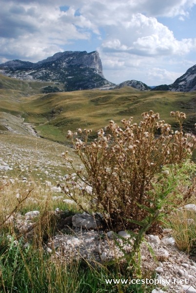 Durmitor