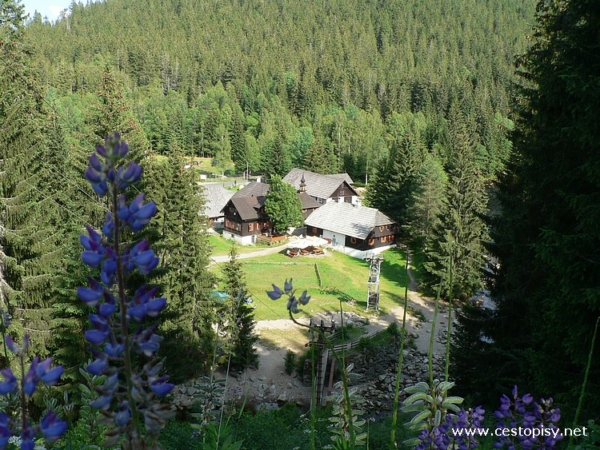 Vchynicko-Tetovský kanál