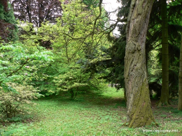 Arboretum Bílá Lhota