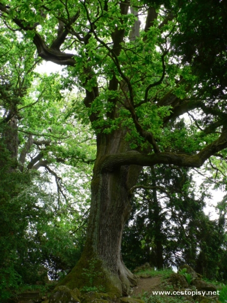 Arboretum Bílá Lhota