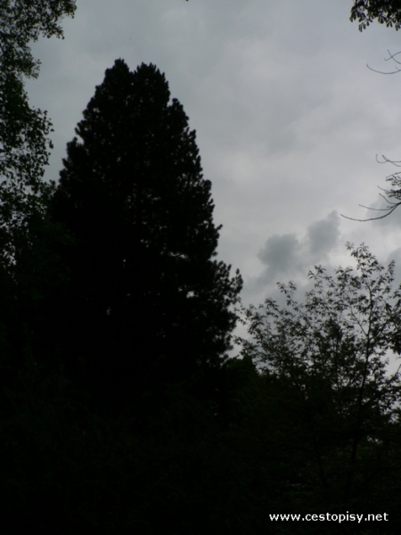 Arboretum Bílá Lhota