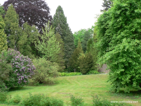 Arboretum Bílá Lhota