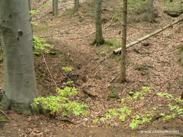 Naučná stezka - naleziště zlata 
