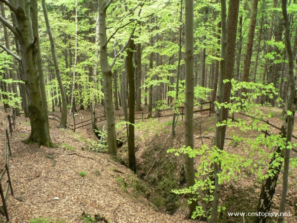 Naučná stezka - naleziště zlata 