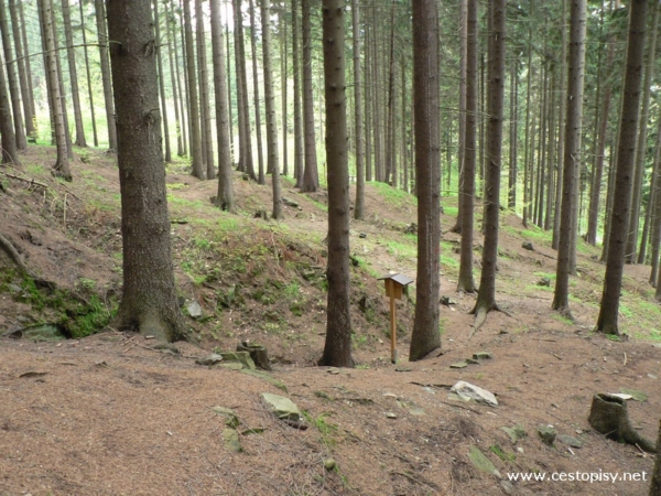 Naučná stezka - naleziště zlata 