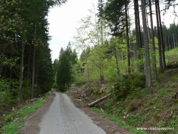 cesta k Čertovým kamenům