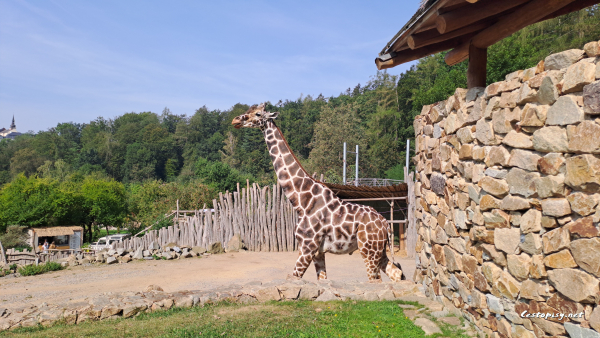 Zoo Jihlava
