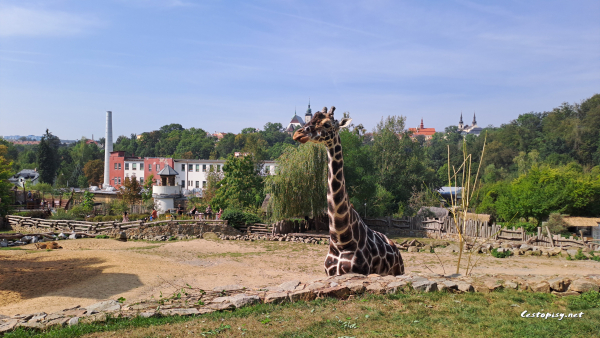 Zoo Jihlava