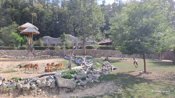 Zoo Jihlava