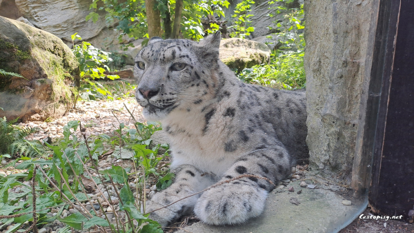 Zoo Jihlava