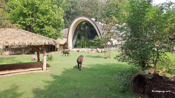 Zoo Jihlava