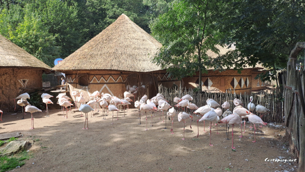 Zoo Jihlava