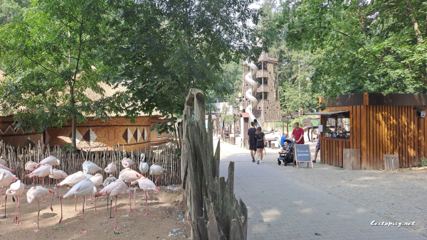 Zoo Jihlava