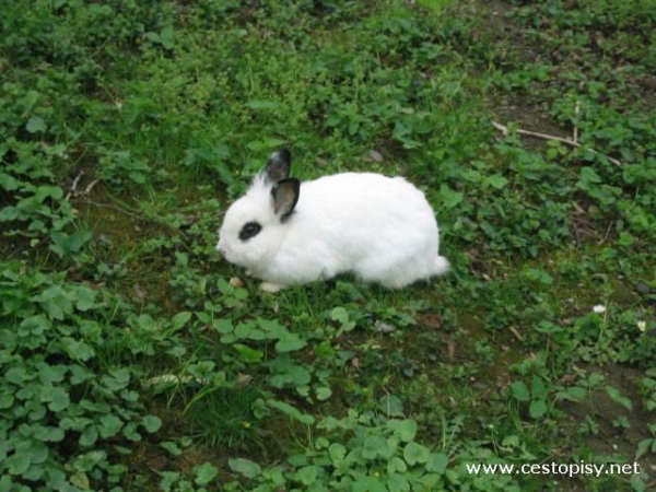 Kroměříž Podzámecká zahrada