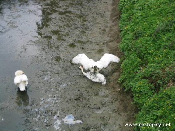 Kroměříž Podzámecká zahrada