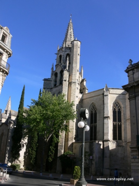 avignon