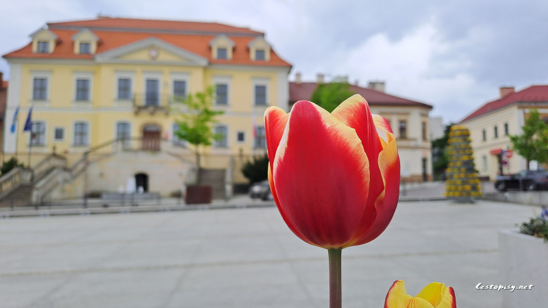 náměstí Wieliczka