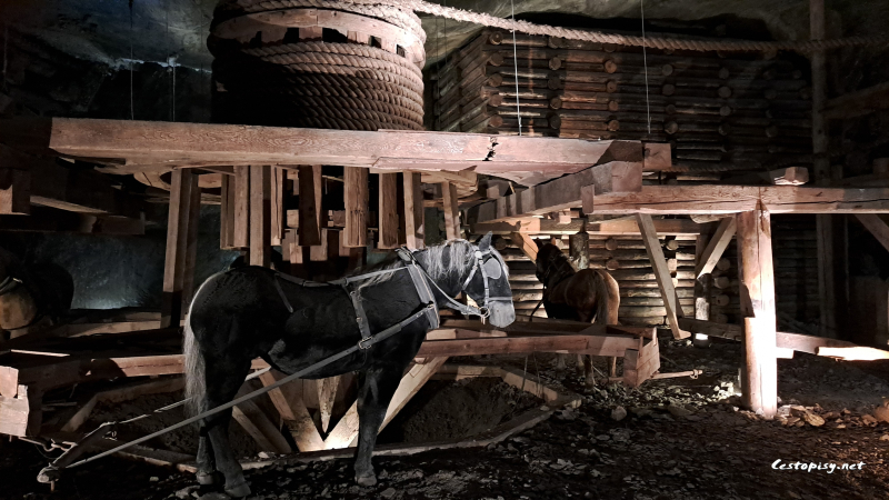 Solný důl Wieliczka