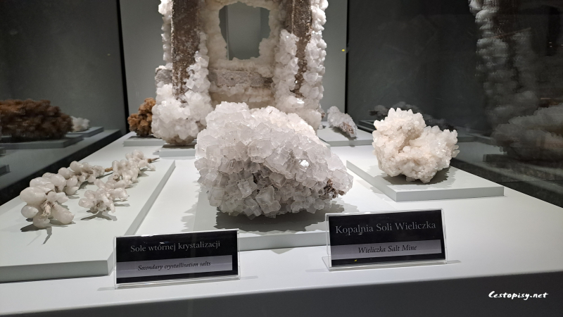 Solný důl Wieliczka