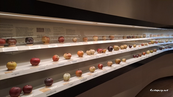 přírodovědné muzeum kláštera Admont