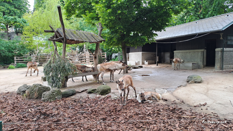 Zoo Schönbrunn